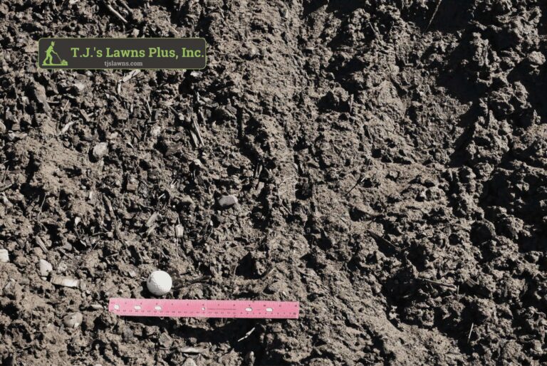 Bulk Unscreened Fill Soil